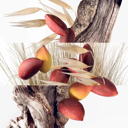 HERMÈS Un Jardin à Cythère Eau de Toilette, Hermès