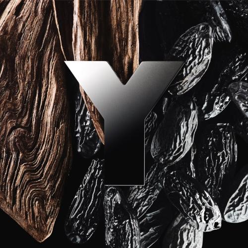 Y, Yves Saint Laurent