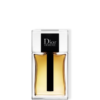 Eau de toilette, Dior Homme, Dior Homme