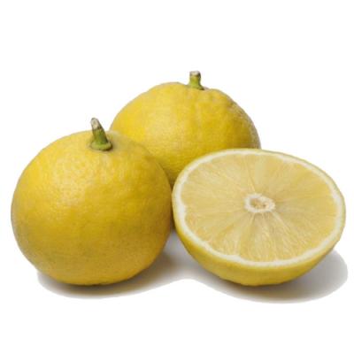 Bergamote en parfumerie