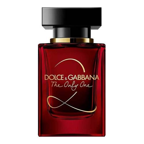 the dolce & gabbana